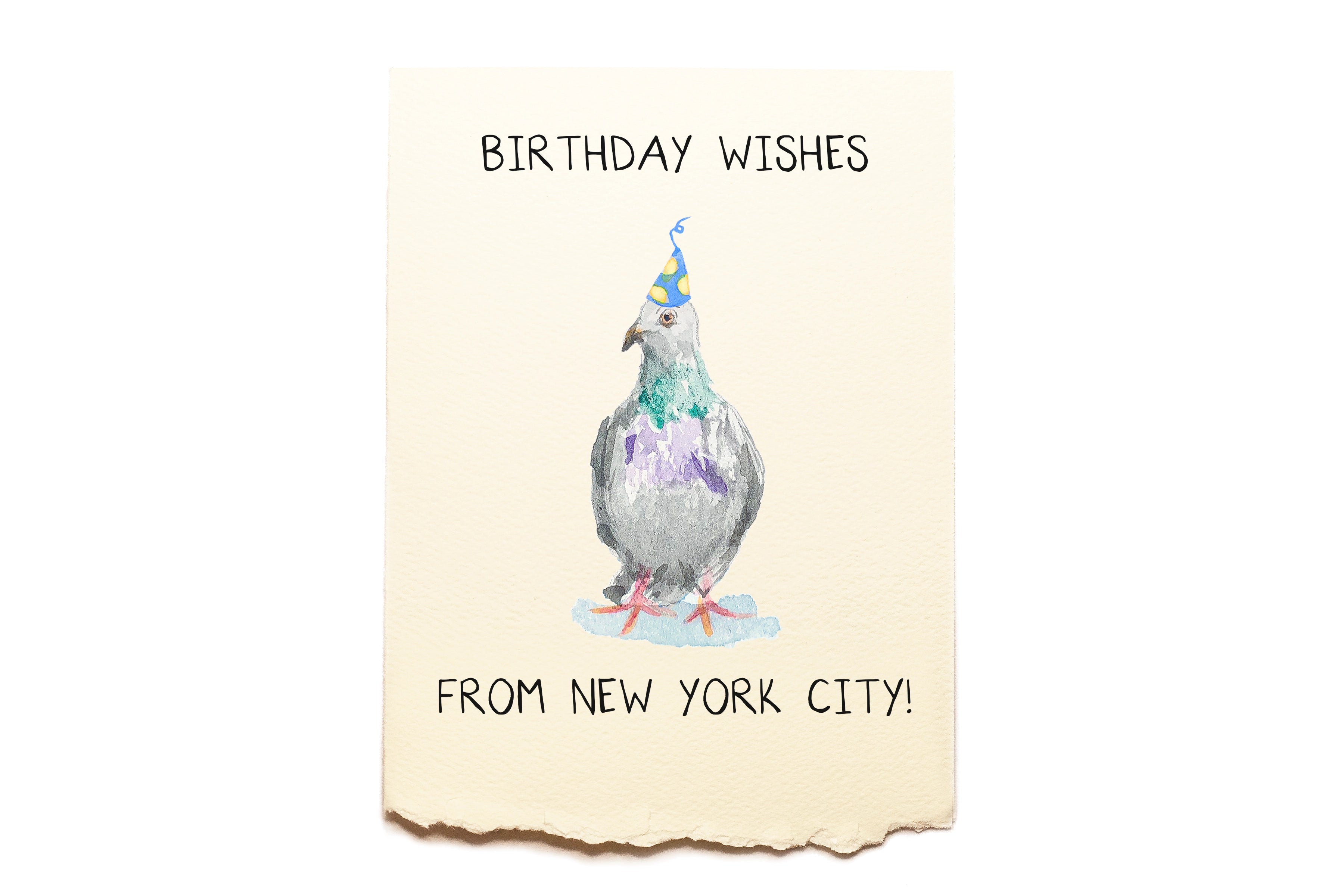 Birthday - NYC Pigeon