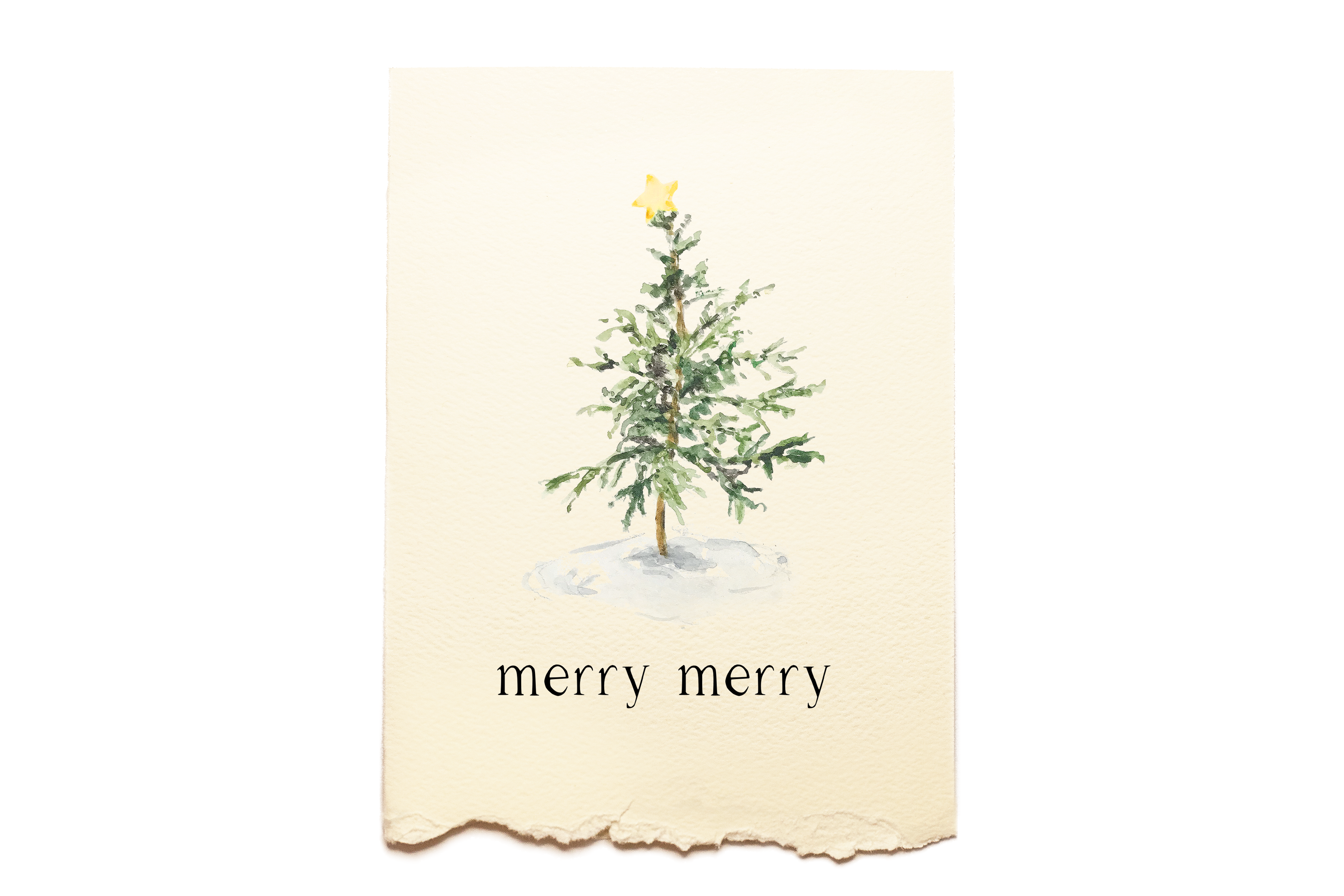 Holidays, Winter - Christmas - Scruffy Tree
