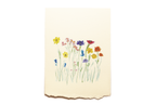 Pack of 8 Cards - Miscellaneous - Wildflowers