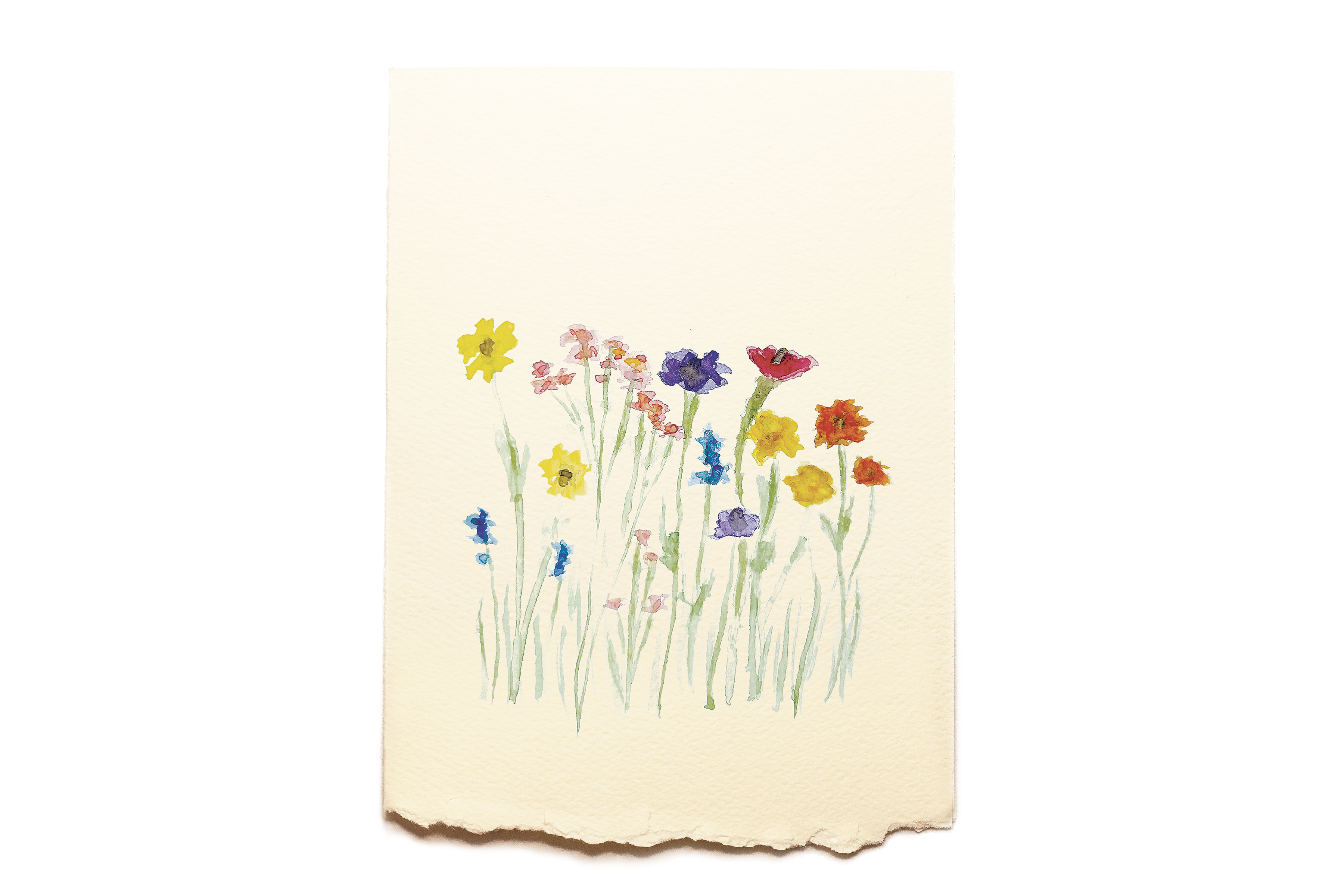 Pack of 8 Cards - Miscellaneous - Wildflowers