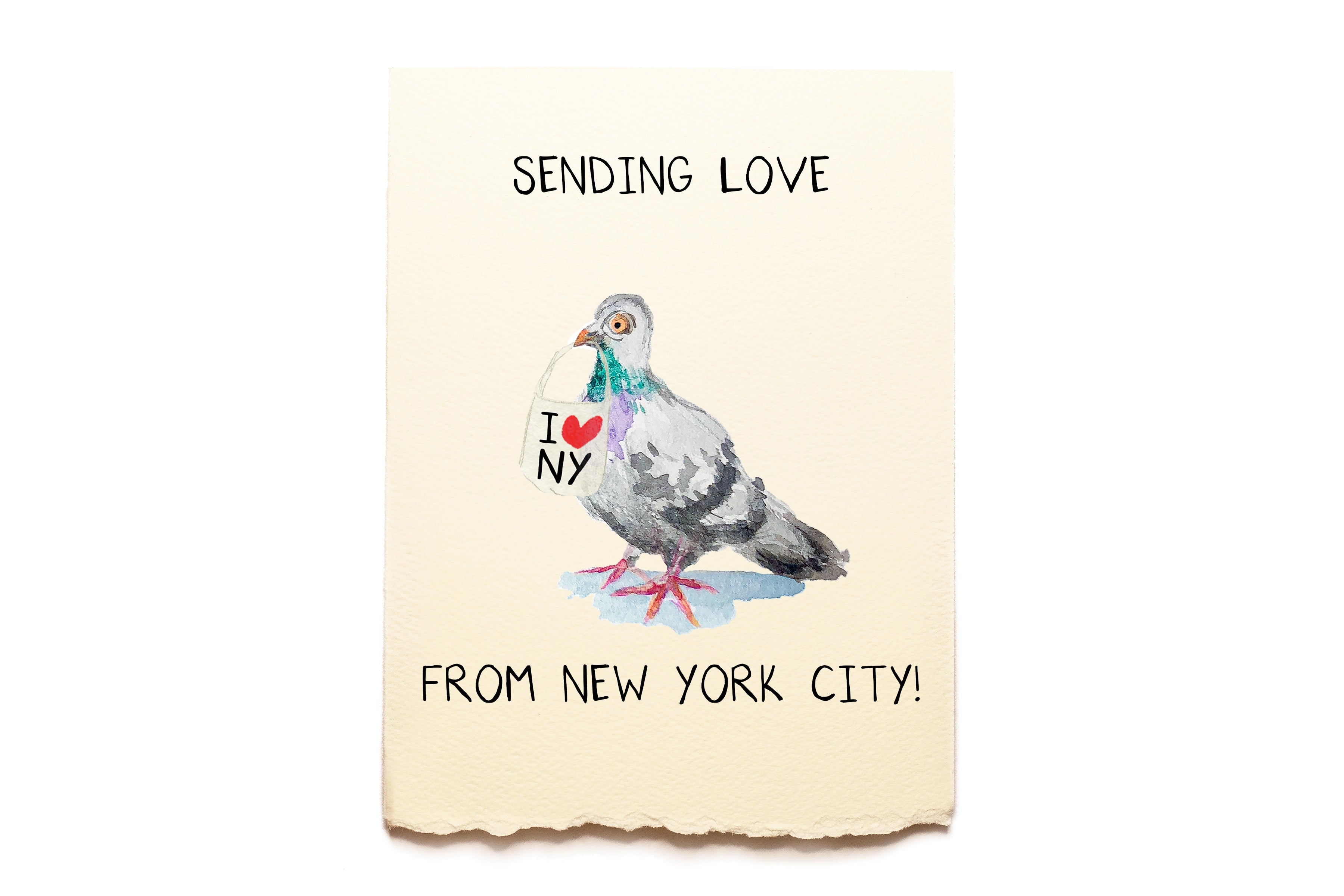 Miss You - NYC Pigeon