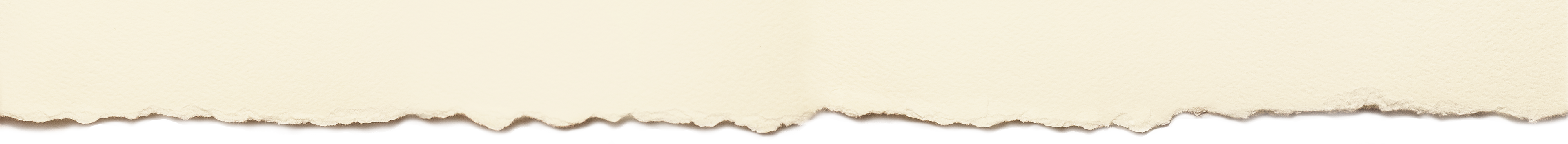 Holidays, Winter - Christmas - Forest