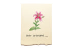 Note with a pink flower illustration and 'dear grandma' text on a beige background