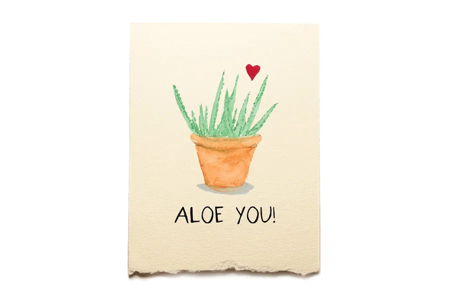 Notebook with a potted aloe vera plant illustration and 'Aloe You!' text on a beige background