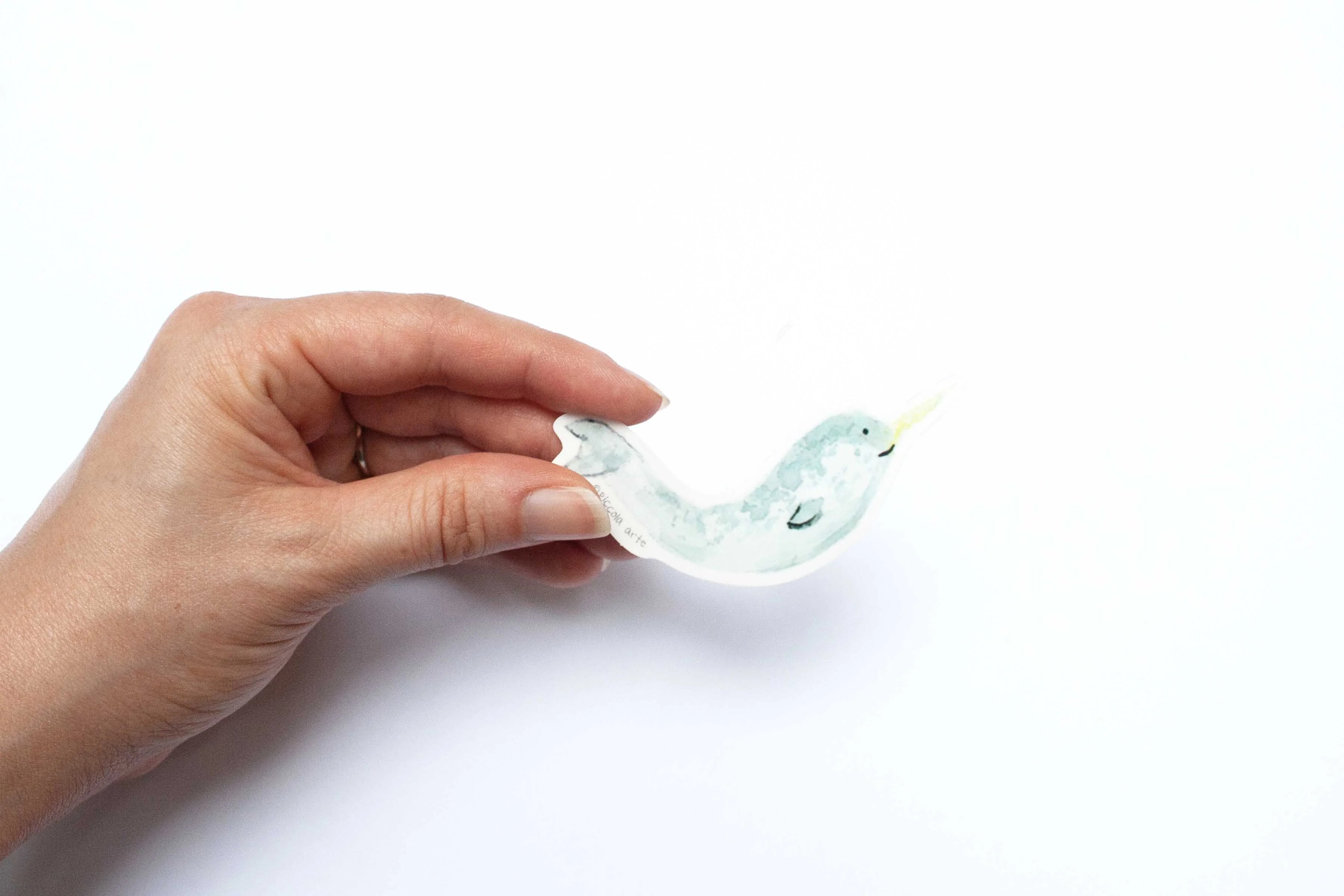 Hand holding a narwhal sticker on a white background.