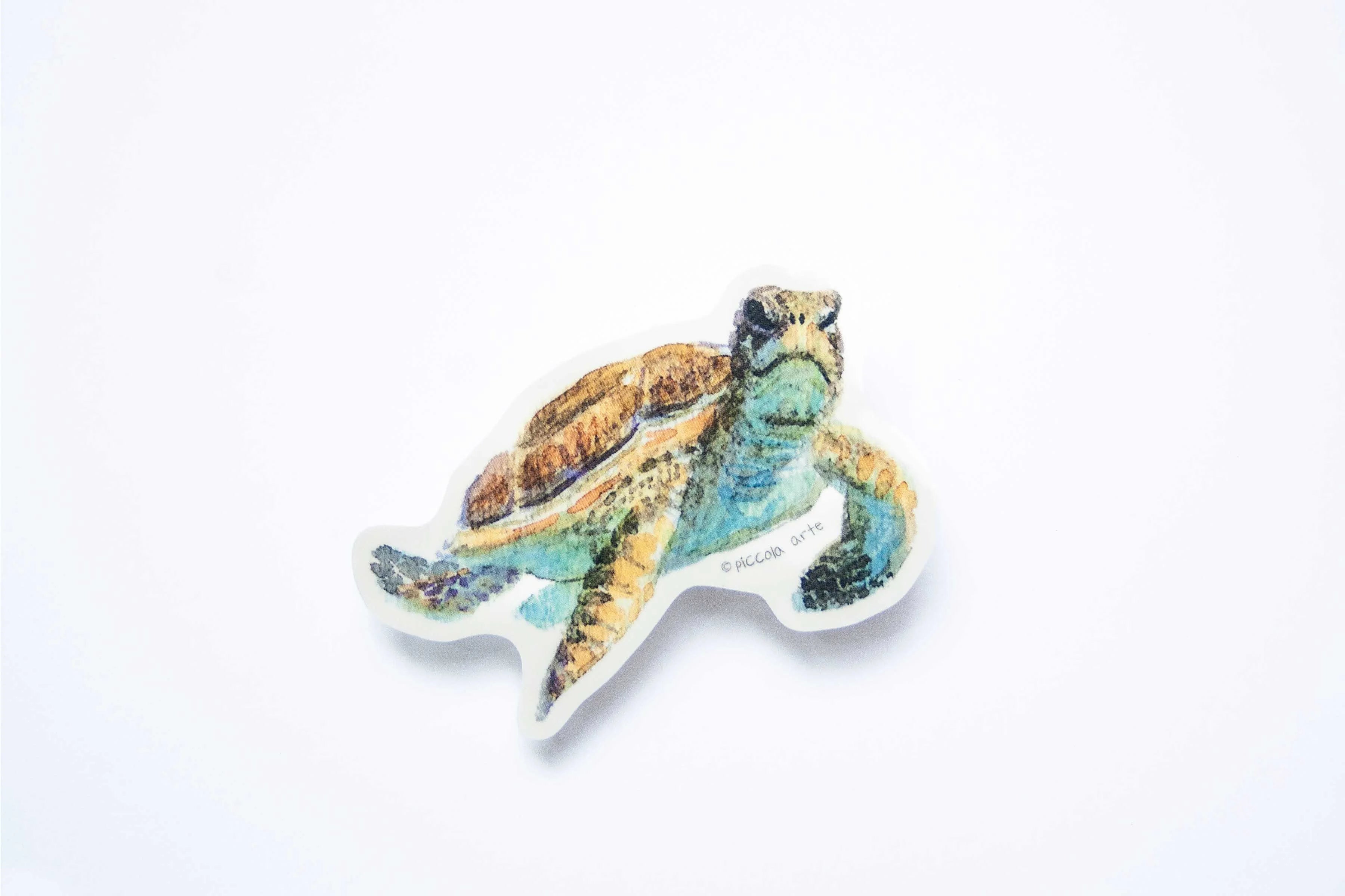 Colorful turtle-shaped sticker on a white background.