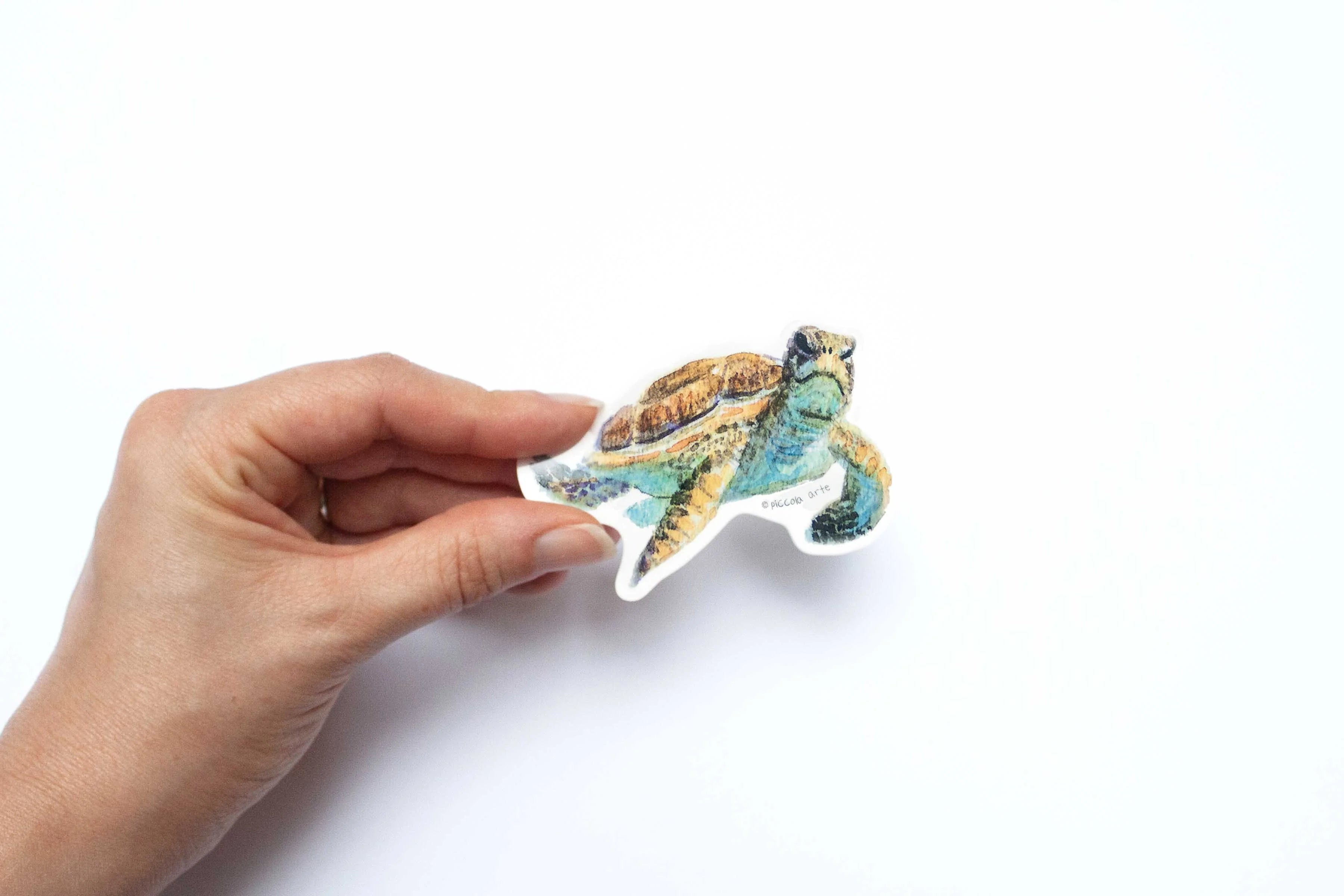Hand holding a colorful turtle sticker on a white background.